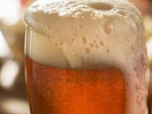 ���Ĳ��˹��Ⱥ�ơ��