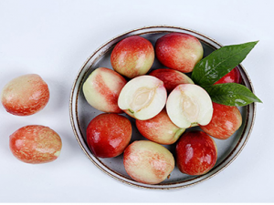 �ļ�������������