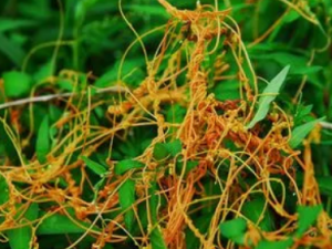 �����첻������Щ�� ��������������