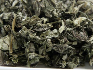 ʲôƵķȽϺ ѵĲʱĸʱ