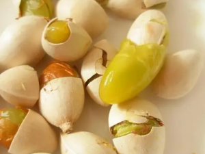 �׹���Ĺ�Ч �׹���������̵��