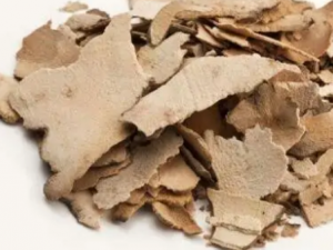 ��С�۵Ĺ�Ч ��С������������