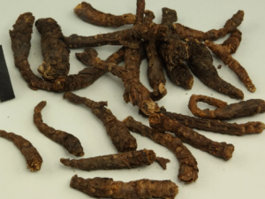 ��������ɢ�Ĺ�Ч ��������ɢ�ζ�����������