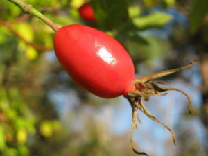 ��ˮ��ҲҪ������ С�������θ���������ѡ��ˮ��