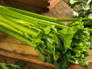 �ﶬ����Ӧ�ó�ʲô�߲�