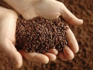 ޱ�ѵĹ�Ч ޱ���ε�������