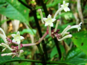 ��ܻ��Ĺ�Ч ��ܻ������ȿ���