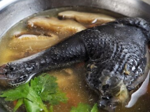 �ڼ������˿��Ժ��� �ڼ�����Ӫ����Ч