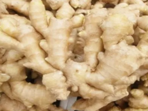 �н�Բ�Ĺ�Ч �н�Բ�α�����