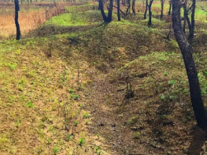 �復��Ĺ�Ч �復���θ��˸��л���