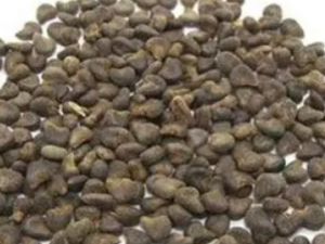 ����ɢ�Ĺ�Ч ����ɢ������С�㲻ͨ