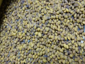 �ඹ���Ĺ�Ч �ඹ���ɲ���Ԫ����ϥ