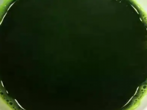 ��֭�Ĺ�Ч ��֭�γ���