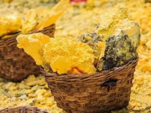 �����Ĺ�Ч ����������ֹ��