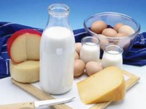 �������ʳ�����������