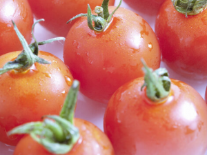 С������ת����ʳƷ�� ��С���Ѻ���