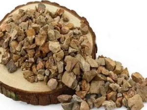 ��������ô���� �������������