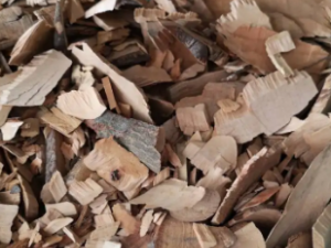 ��������Ĺ�Ч ��������ε�������