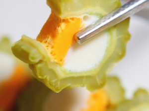 ������������� �������ζ�Ŀ������