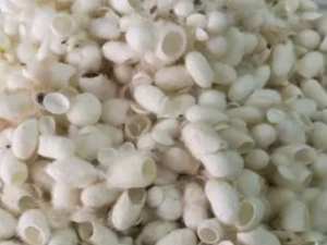 �������ĺô� ��Щ��Ӧ�������