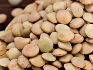 ɽ�����Ĺ�Ч ɽ������������