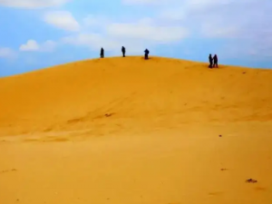 ɳĮ�µĹ�Ч ɳĮ��������������