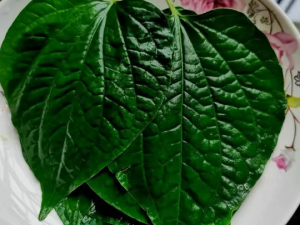 ��Щ�������Ը������Ŷ�