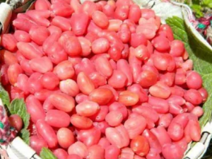 �ɽ�����ӵĹ�Ч �ɽ���������ȴ�