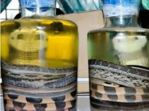 ��Ϭɢ�Ĺ�Ч ��Ϭɢ�����