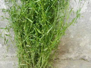 ����Ĺ�Ч ������С���ڴ�