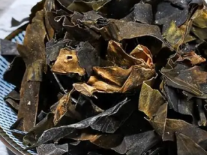 ���̵Ĺ�Ч ���������