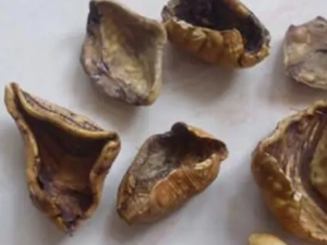 �¼���Ĺ�Ч �¼�������������