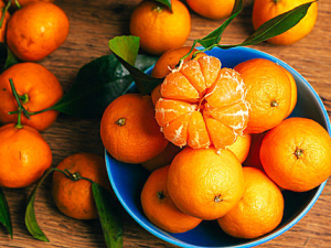 �������ʺϳ�«�̵ļ��� ���������ѡ«�̵�