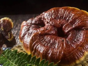 ��֥���ӷ۵Ĺ�Ч ��γ�Ч������