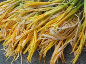 �＾�촽�������Ӧ��