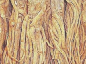 �����۸��Ĺ�Ч �����۸�����������