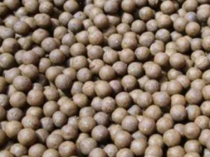 �����Ĺ�Ч ������γ�����