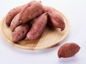 �����Ľ�������Щ ��Щ�˲��˳Ժ���