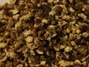 ÷�����Ĺ�Ч ÷������һ��Ӹ��