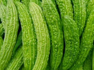 ��ϵĳԷ� ��ϵ�ʳ�ý���