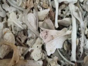 ���ǵĹ�Ч ���ǿ�����ֹ��