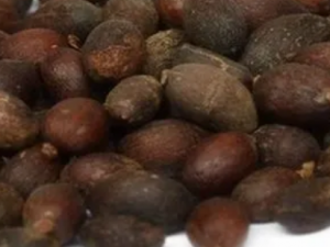 �������Ĺ�Ч �������������С�㲻ͨ