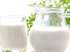 ��ô��ţ��Ӫ��Ч���� ��ţ�̳�����8������