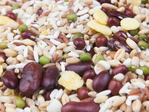 �¾���������ЩҪע��� ���������ʹ��