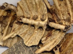 ű��Ĺ�Ч ű������ٵ�˺�Ϊ��ű