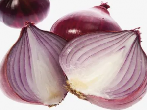 ��еĽ�����ʲô