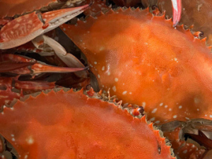 ��������з������ ��ô����������з�ó�