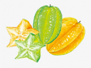 ��˥���˲���ʳ������