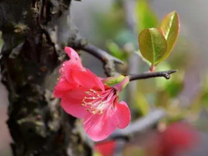 �����ٵĹ�Ч ������ȥ����