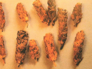 �ƽ�ɢ�Ĺ�Ч �ƽ�ɢ��ʯ�